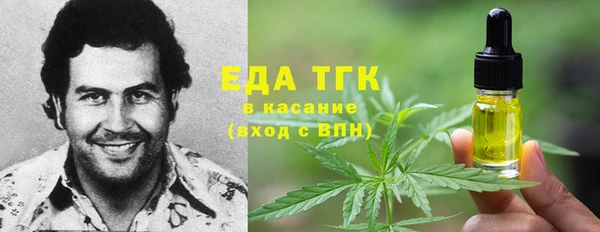 стафф Каменка