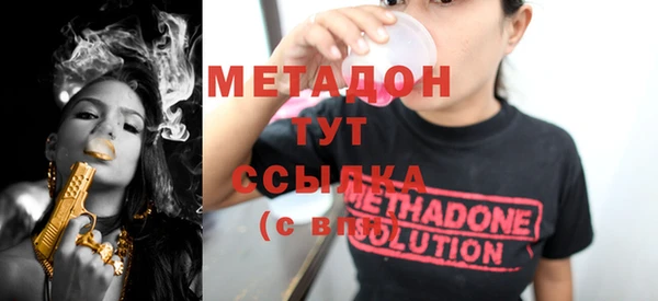 шишки Горно-Алтайск