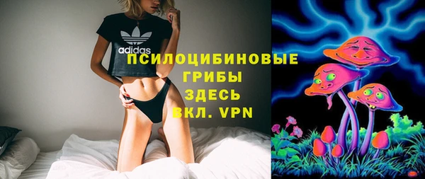 гашик Нефтегорск
