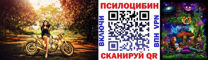 Галлюциногенные грибы GOLDEN TEACHER  дарнет шоп  Дагестанские Огни 
